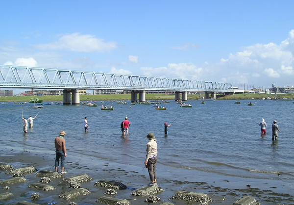 江戸川放水路でハゼ釣り のらりくらり